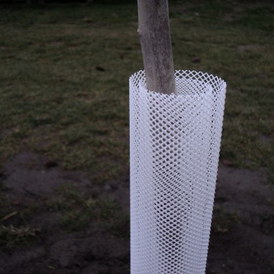 Tinklinė medelių apsauga Treex, balta, L-110 cm
